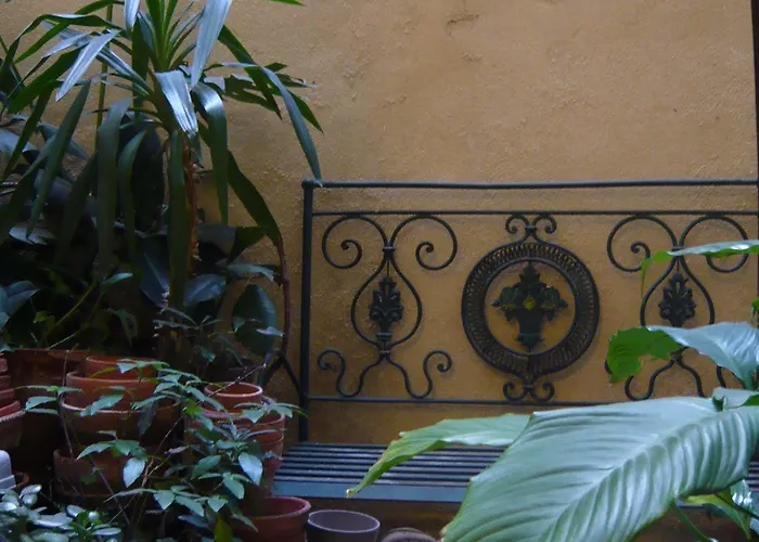 ホテル Alves Torgo 14 *