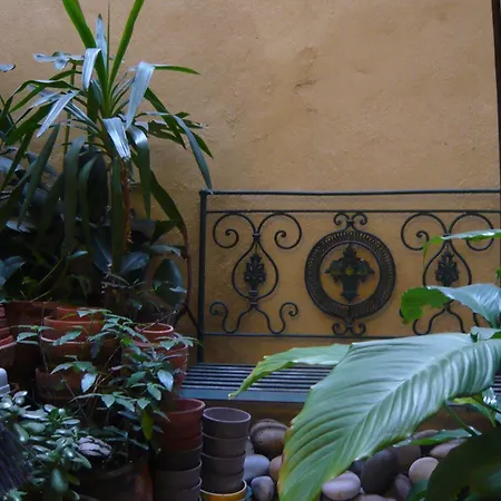 호텔 Alves Torgo 14 *